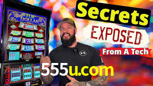 Programa VIP 555u.com